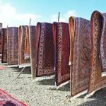 قالیشویی سرای پردیس